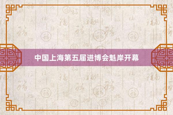 中国上海第五届进博会魁岸开幕